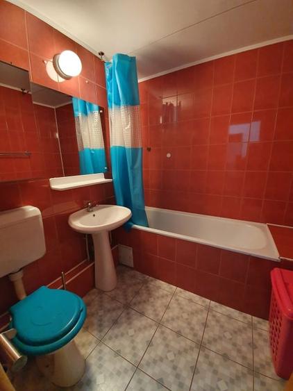 Inchiriere 2 camere Teiul Doamnei - 11