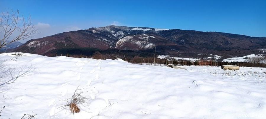 Teren de 5050 mp, în Nucșoara