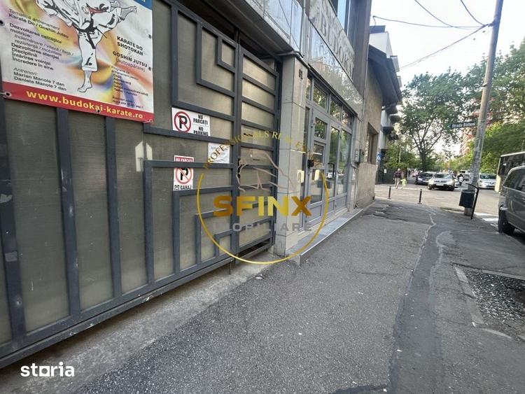 Sp comercial | Teiul Doamnei | 51mp | Disponibil Imediat - 4