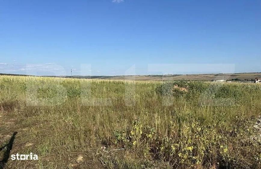 Teren de 11500 mp, în Central