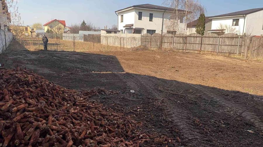 Teren Construcții intravilan de 594 mp, în Chiajna