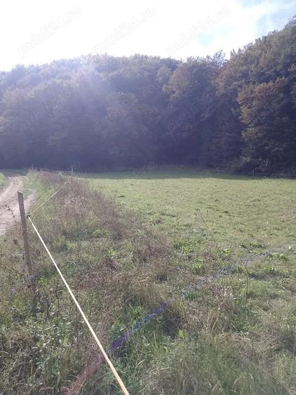 Teren de 5600 mp, în Nord
