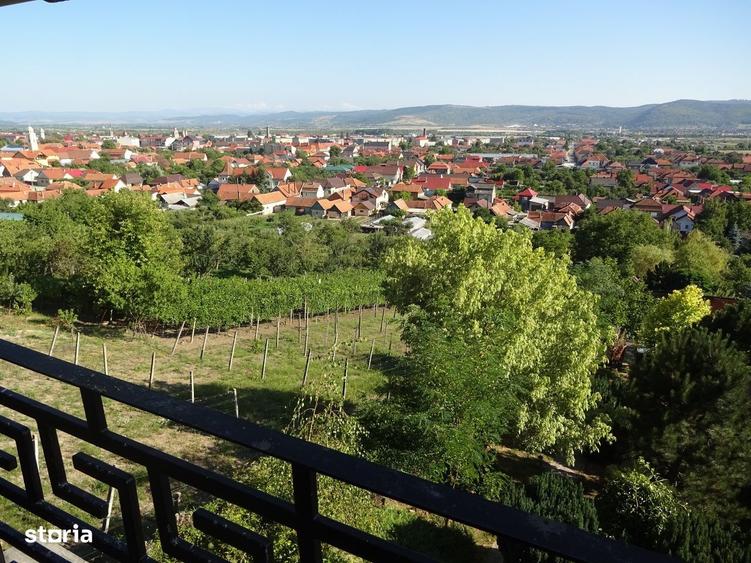 Casă cu 4 camere cu Teren 1568 Mp în Aleșd