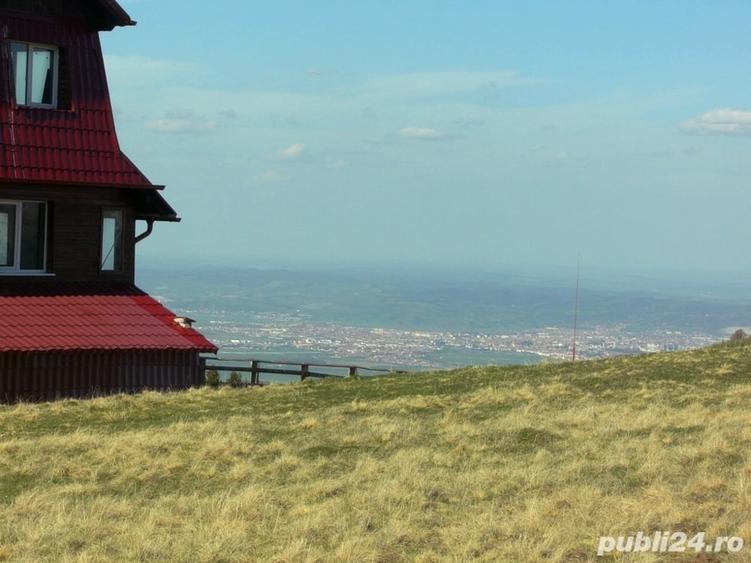 Teren de 10632 mp, în Paltin