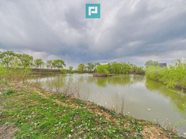 Teren agricol extravilan de 10000 mp, în Alioș