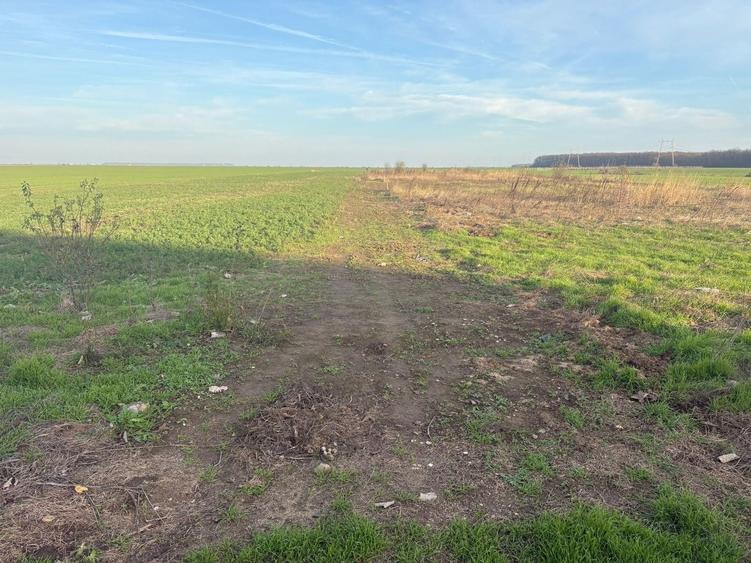 Teren Construcții intravilan de 507 mp, în Vadu Anei