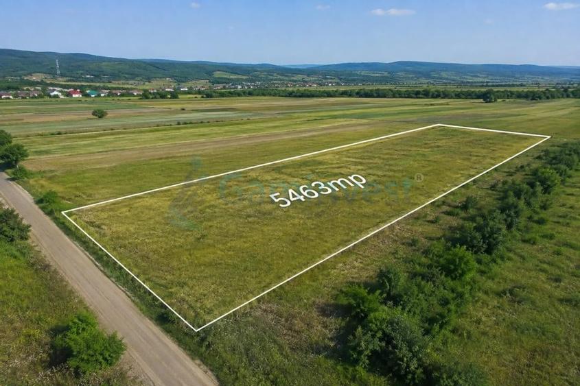 Teren agricol extravilan de 5463 mp, în Bălaia
