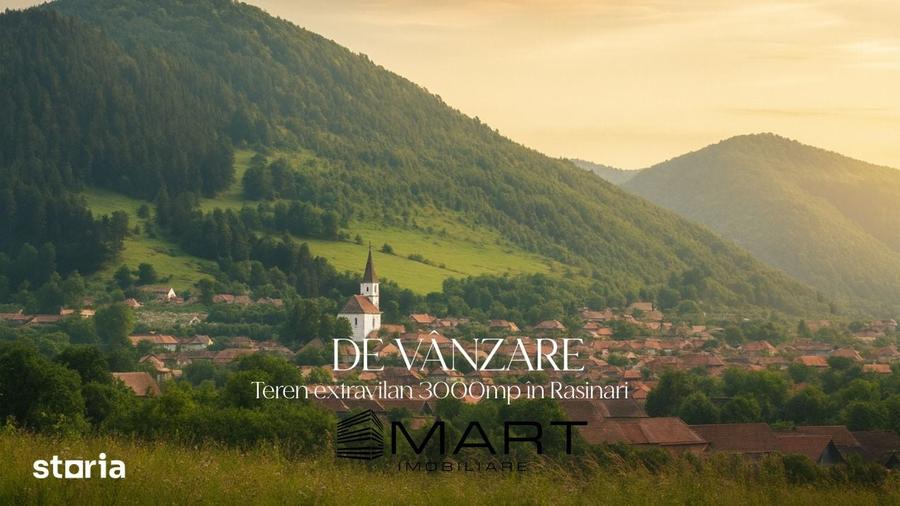 Teren de 3000 mp, în Rășinari