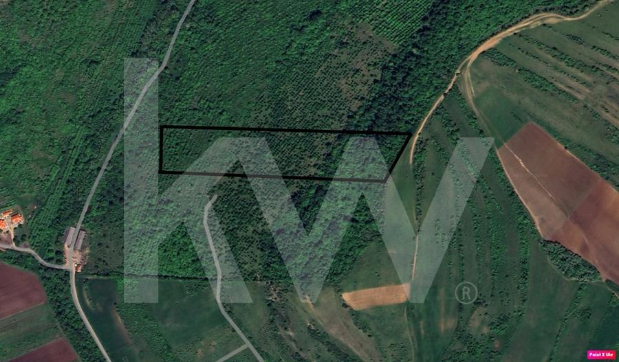 Teren agricol extravilan de 38400 mp, în Hamba