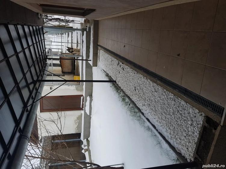 Casă cu 3 camere cu Teren 1150 Mp în Berghia
