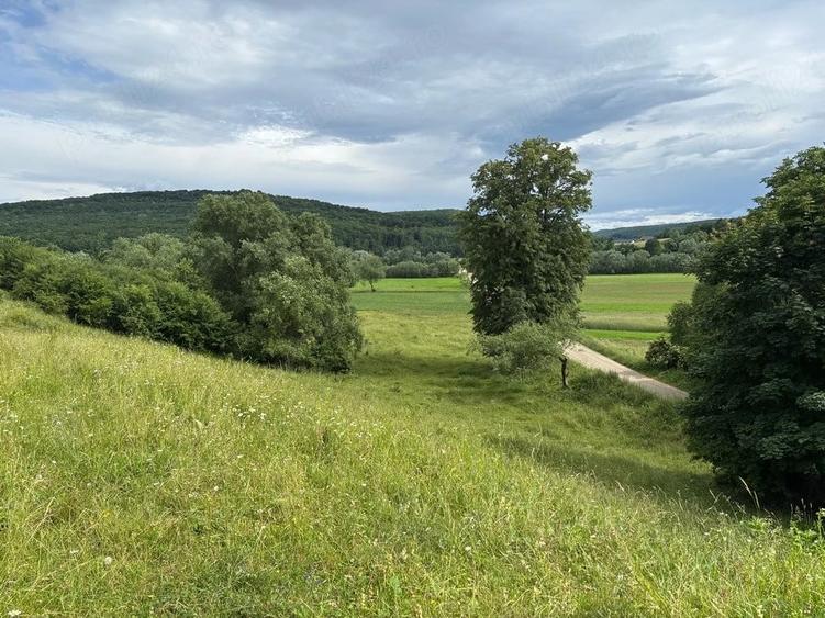 Teren de 4500 mp, în Deleni