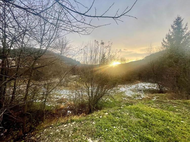 Teren Construcții intravilan de 22600 mp, în Sucevița