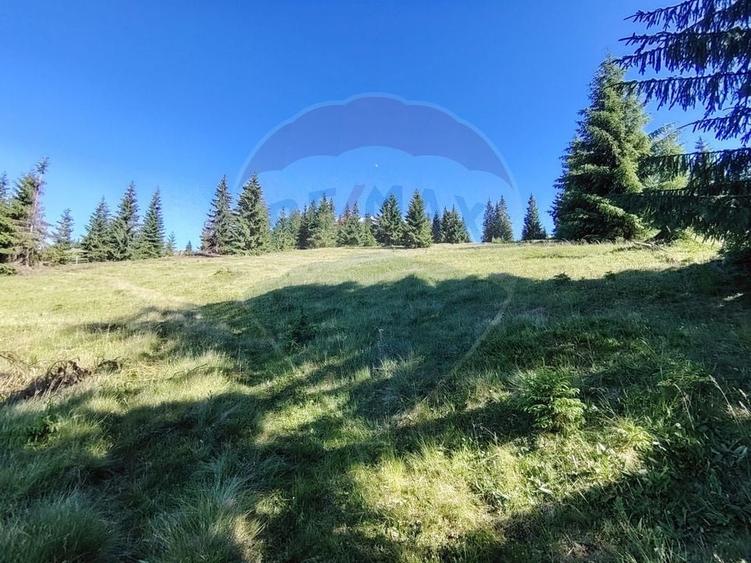 Teren extravilan de 47732 mp, în Panaci