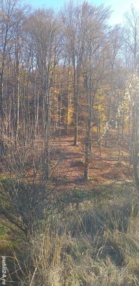 Teren în Gâlcești