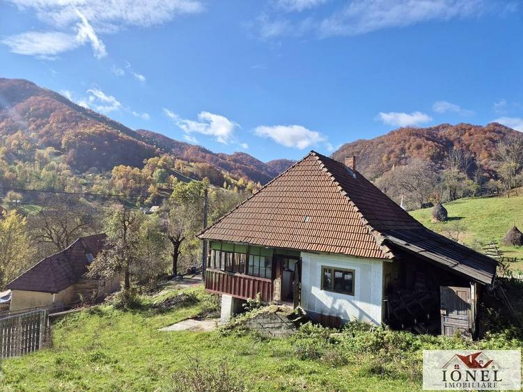 Casă cu 3 camere cu Teren 2636 Mp în Central