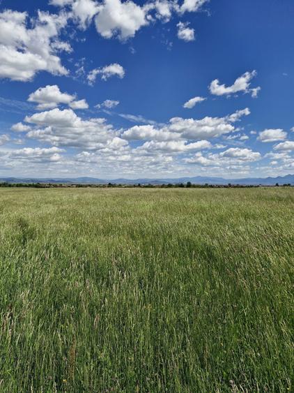 Teren de 14900 mp, în Crizbav