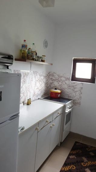 Casa si teren intravilan 14 155 m2 de vanzare in loc. Sarisoru Mare j - 3