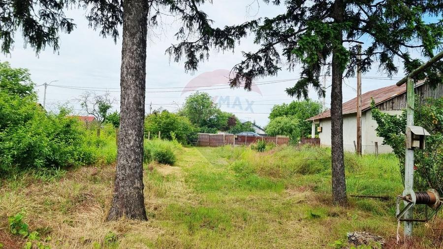 Teren Construcții intravilan de 2038 mp, în Tâncăbești