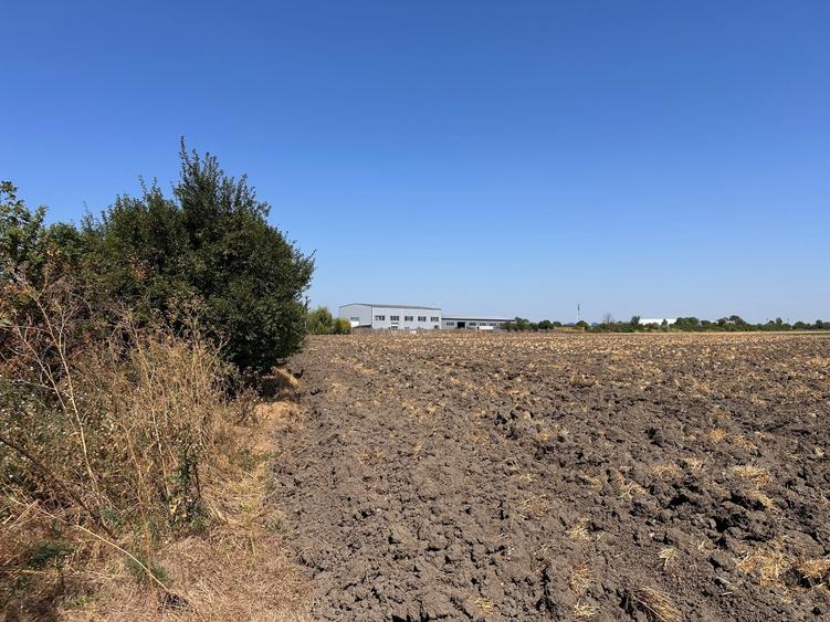 Teren Construcții intravilan de 5600 mp, în Periferie