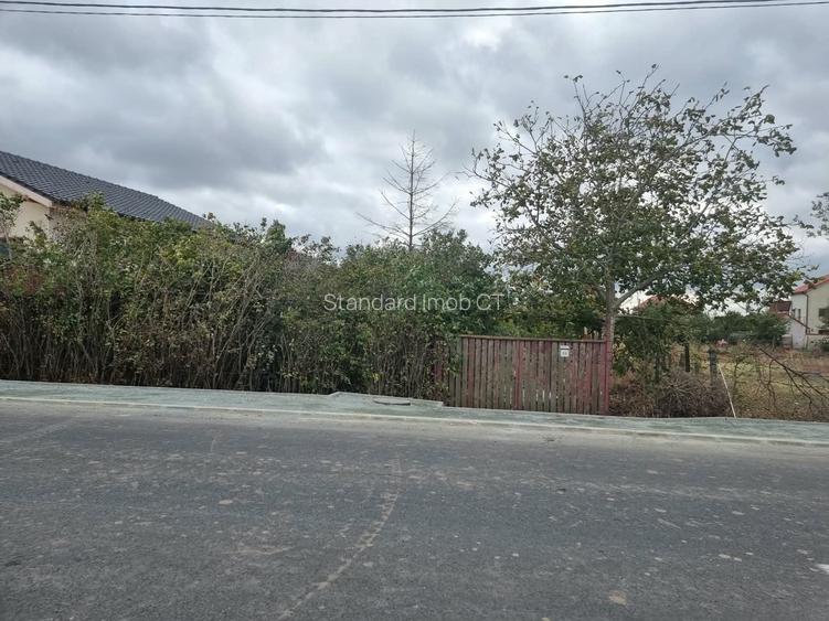 TEREN INTRAVILAN 706 MP – CUMPĂNA /ACCES DIRECT LA STRADA ASFALTATA