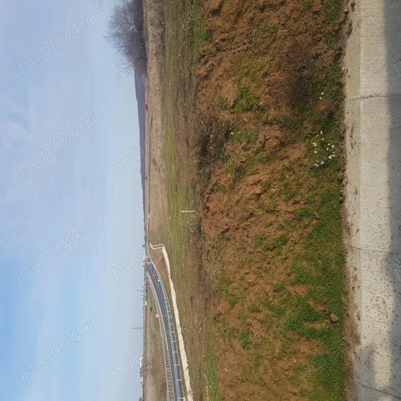 Teren de 3500 mp, în Băile Felix