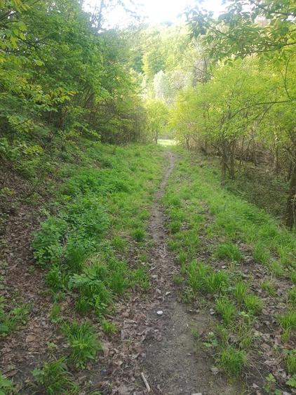 Teren de 2200 mp, în Vlădești