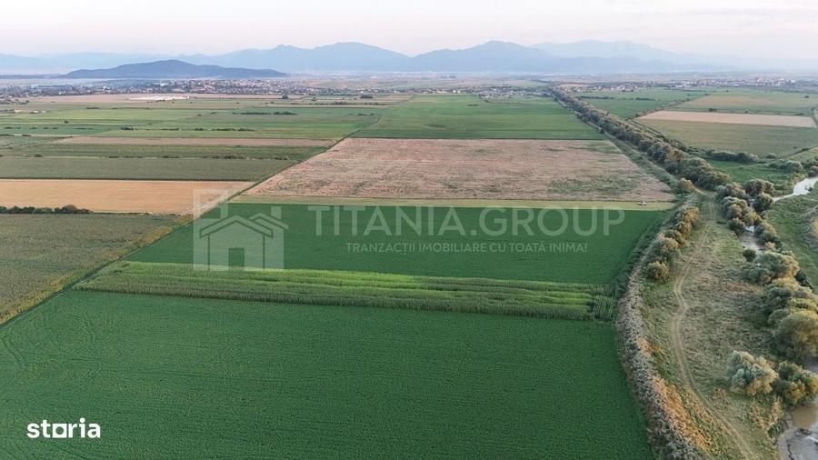 Teren extravilan, 8700 mp, pretabil agricultura sau investitie - Bod - 5