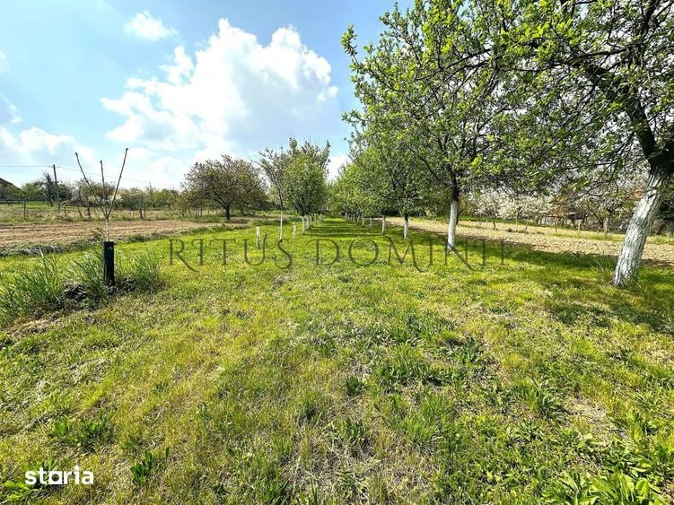 Teren Intravilan de Vanzare, Cetariu, 5450mp - 6