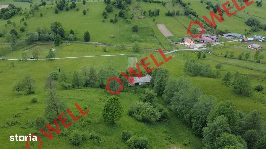 Teren de 3200 mp, în Barcani