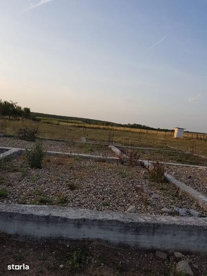 Teren de 2900 mp, în Husasău de Tinca