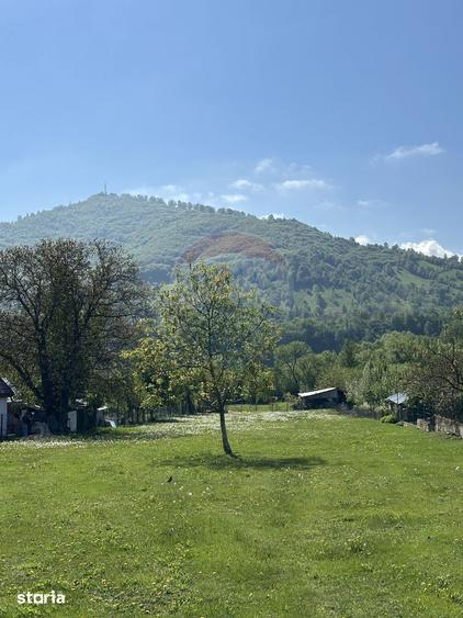 Teren de 3606 mp, în Pângărați