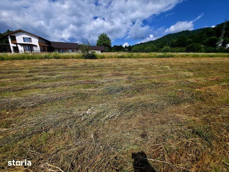 Teren de 600 mp, în Alexandru cel Bun