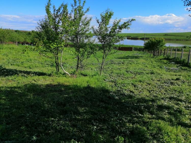 Casă cu 4 camere cu Teren 2300 Mp în Sud