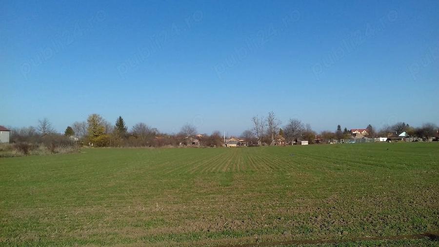 Teren de 1400 mp, în Surlari