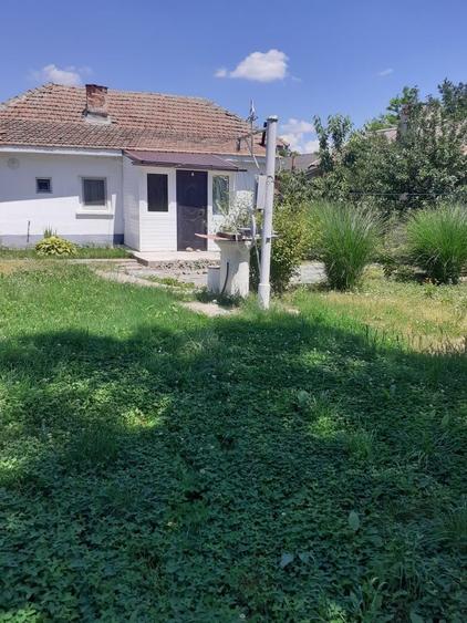 Casă cu 2 camere în Studina