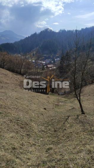 Teren agricol extravilan de 5000 mp, în Rucăr