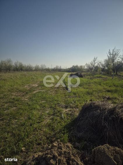 Teren de 6835 mp, în Rucăr