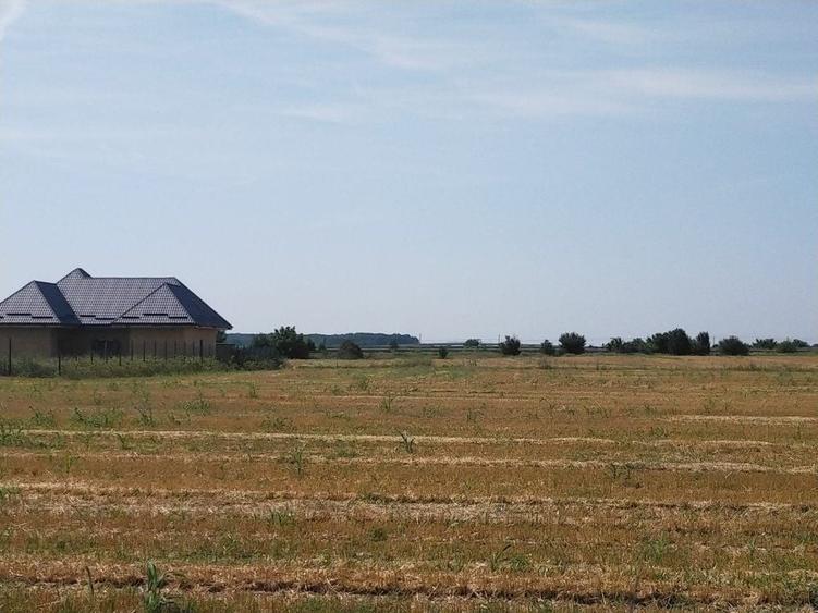 Teren Construcții intravilan de 1500 mp, în Moara Vlăsiei