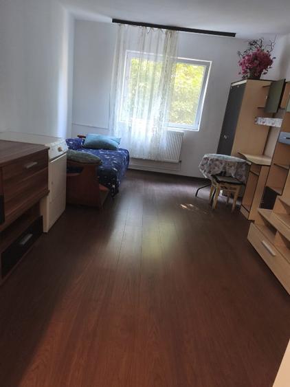 Garsonieră decomandată în Buziașului
