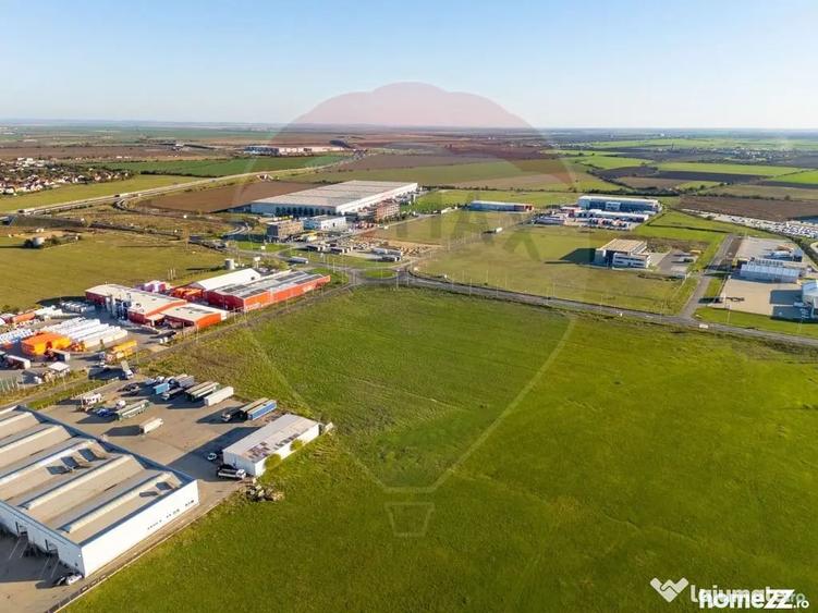 Teren de 10000 mp, în Sud