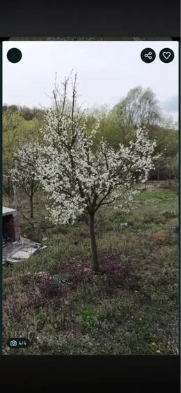 Teren de 2100 mp, în Gârbova