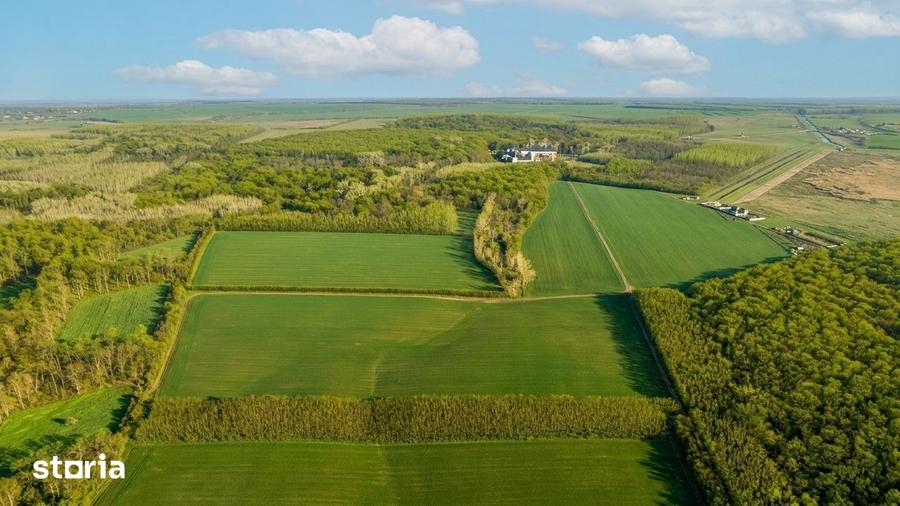 Teren de 16900 mp, în Grădiștea