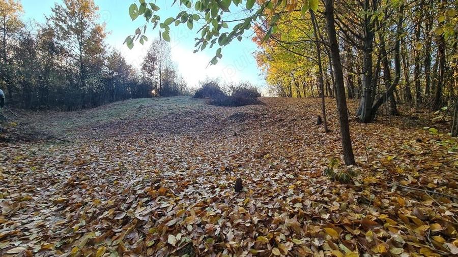 Teren de 8800 mp, în Băiculești