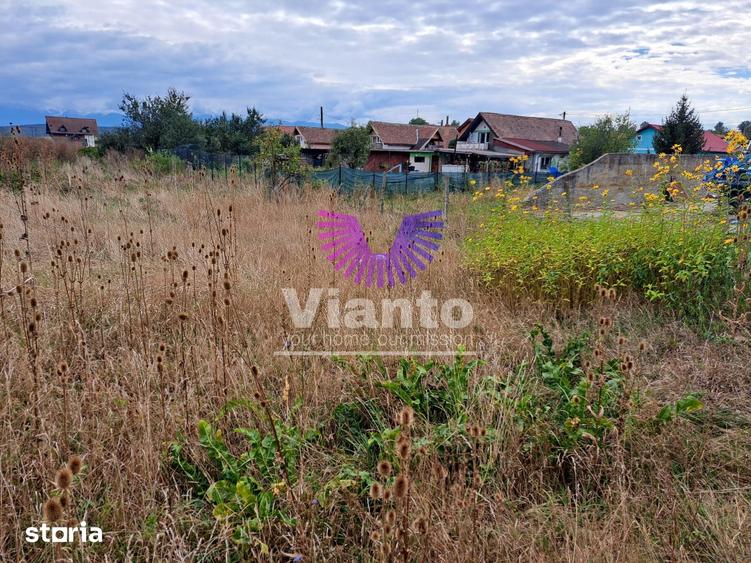 Casă cu 5 camere cu Teren 825 Mp în Roșia