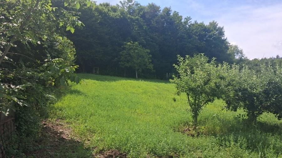 Casă cu 4 camere în Argeșelu