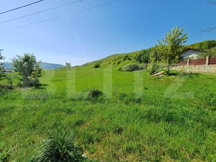Teren Construcții intravilan de 5000 mp, în Sud