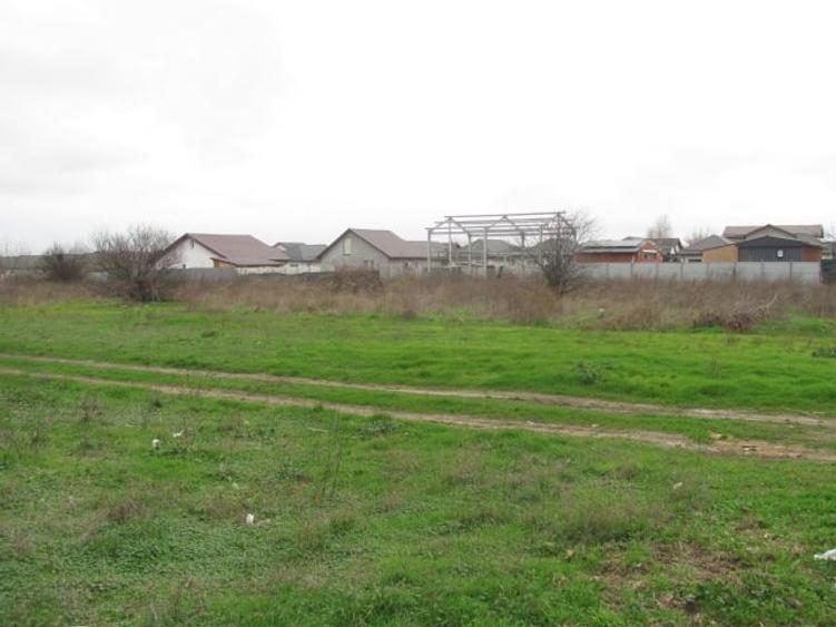 Teren Construcții intravilan de 4000 mp, în Cornetu