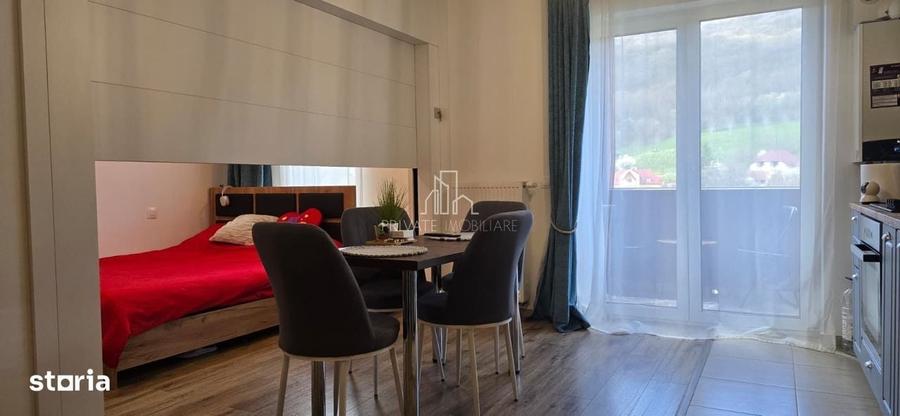Apartament cu 2 camere în Viilor