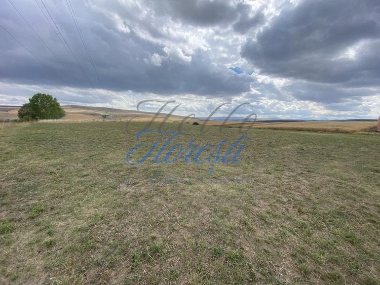 Teren Construcții intravilan de 1833 mp, în Rediu