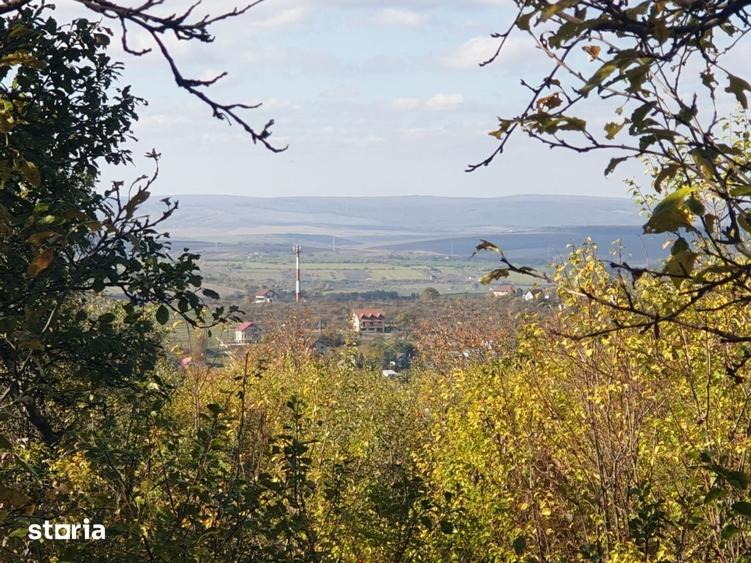 Teren de 2525 mp, în Bârnova